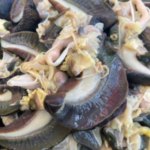 Snails Small 2 (20 pieces)